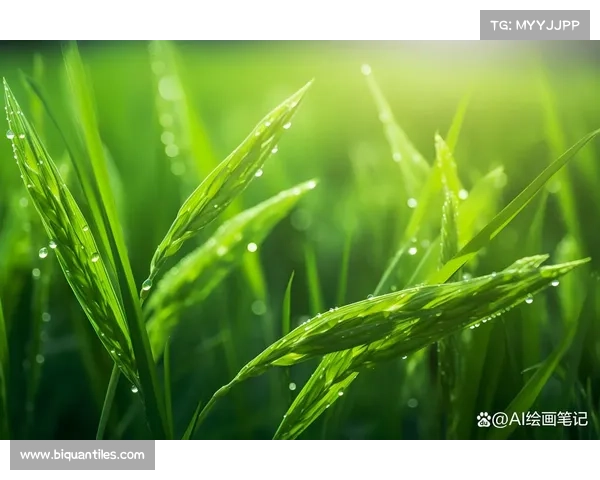 探索小满节气:感受自然之美与生命律动的和谐交响 探索小满节气:感受自然之美与生命律动的和谐交响