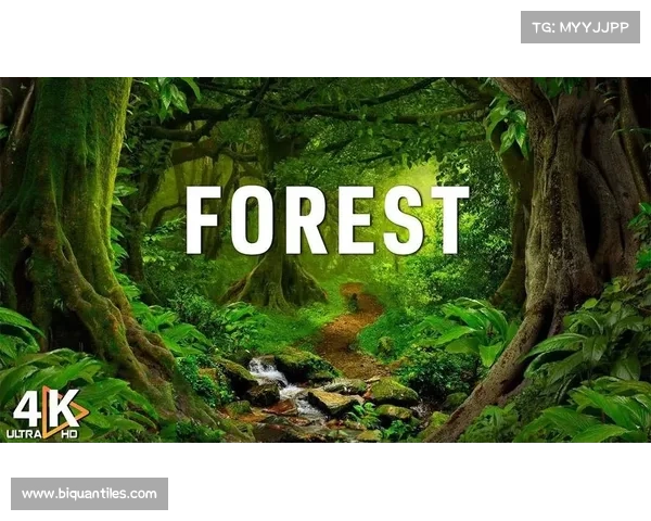 在神秘荧光森林中寻找内心的平静与宁静之道