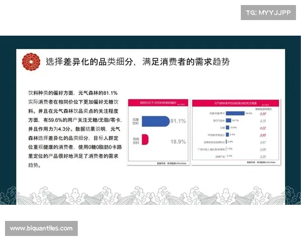 精准布局的四大关键要素及其在实际应用中的策略与影响分析