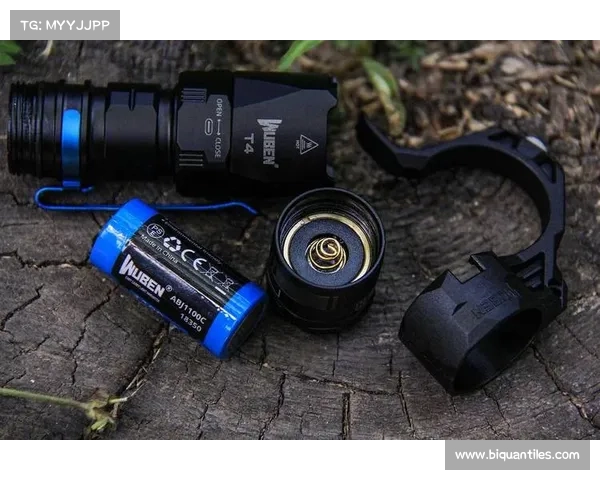 法尔范如何成为沙尔克04战术核心解析与角色定位分析