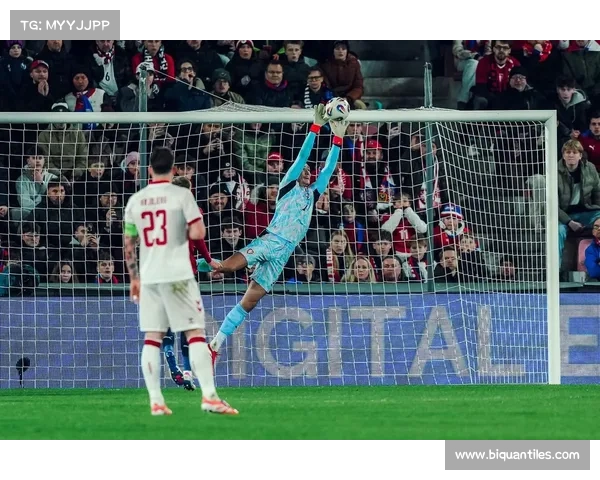 捷克国家队门将是谁 他在国际赛场的表现如何